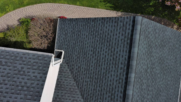 Best Roof Moss and Algae Removal  in Babbitt, MN
