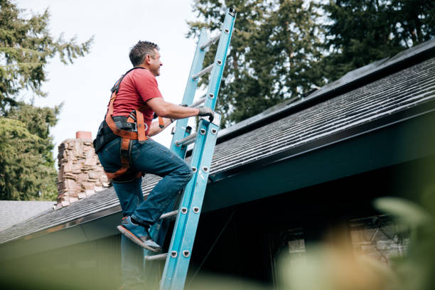 Best Roof Coating and Sealing  in Babbitt, MN